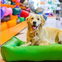 Pet shop